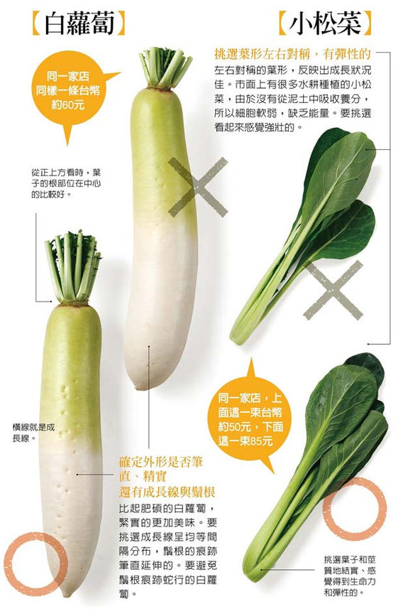 市場買葉菜類怎麼挑 達人 精選 撇步大公開 康健雜誌 市場買葉菜類怎麼挑 達人 精選 撇步大公開 康健雜誌