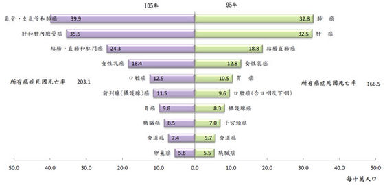 çœ‹è¦‹å°ç£ ä¼åŠƒå´