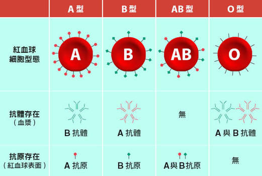 關於血型 為什麼o型血能輸給所有人 康健雜誌 關於血型 為什麼o型血能輸給所有人 康健雜誌