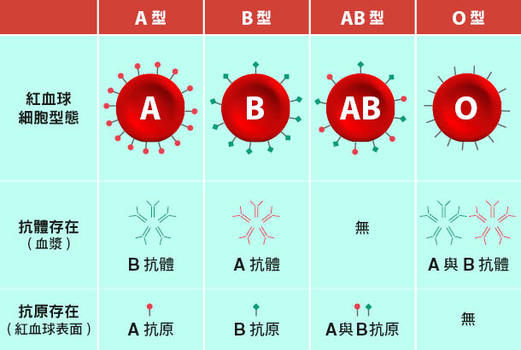 Ab 型 o 型