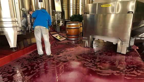 南法春秋 觀點 大人社團 與你一起實踐美好生活