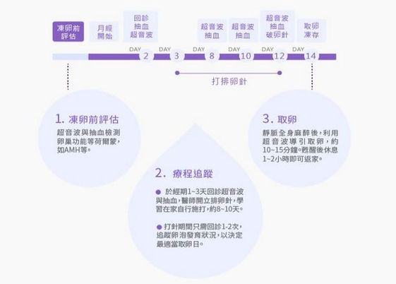 何時該凍卵 有危險性嗎 凍卵費用大概多少 康健雜誌