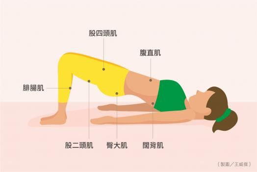 護腰 不用一直穿錯誤使用當心腰肌萎縮 康健雜誌