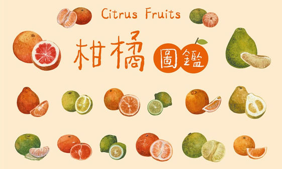 駐島計畫 中台灣食通信 樂活島柑橘圖鑑冬日裡橘 駐島計畫 中台灣食通信 樂活島柑橘圖鑑冬日裡橘