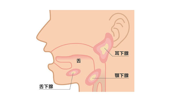 更年期口乾 有異味 常蛀牙竟是缺少了 它 康健雜誌