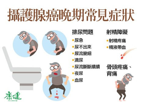 圖解 攝護腺癌 誰是高危險群 快留意這些症狀 康健雜誌