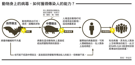 傳染病永無休止 台灣如何打贏全民防疫戰 康健雜誌