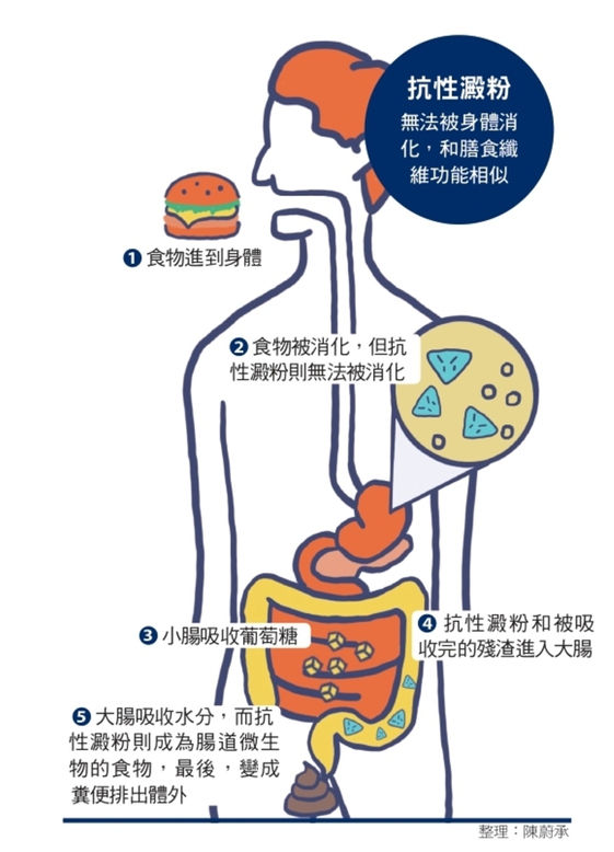 好澱粉指標 挑對低gi 高抗性澱粉食物洋芋片 肉燥飯更好 康健雜誌