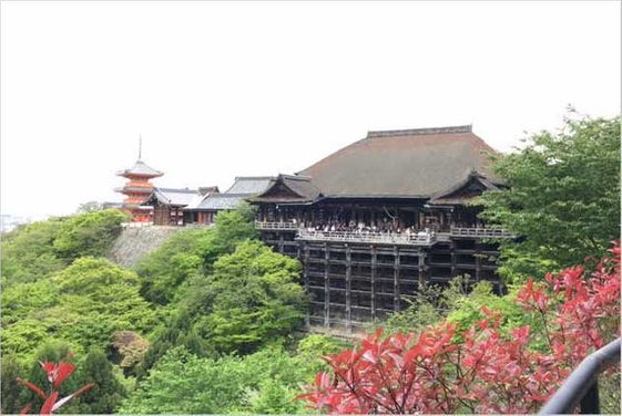 日本 清水寺 整修三年 京都還有這些 必去景點 等你造訪 Cheers快樂工作人