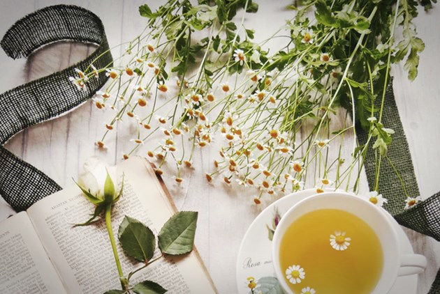 唐綺陽星座運勢週報 12月18日至12月24日 處女座蠟燭兩頭燒 請先顧好自己 Cheers快樂工作人 唐綺陽星座運勢週報 12月18日至12月24日 處女座蠟燭兩頭燒 請先顧好自己 Cheers快樂工作人