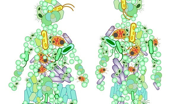 台灣突破性發現 吃對減肥菌 甩肉好簡單 康健雜誌 台灣突破性發現 吃對減肥菌 甩肉好簡單 康健雜誌