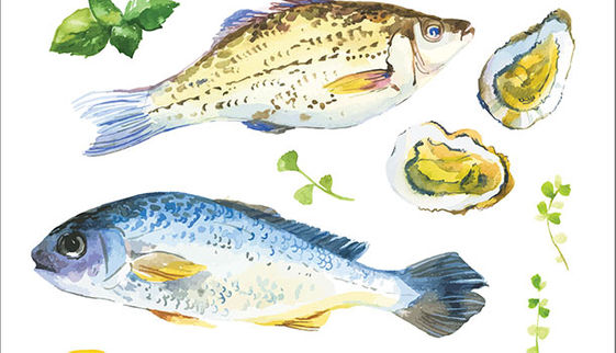 在台灣就該這樣吃魚 康健雜誌