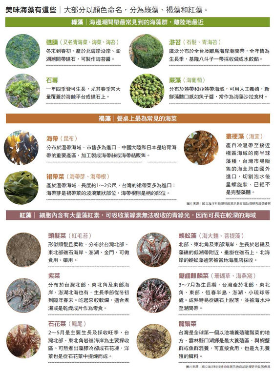 海藻家族大海裡的超級抗老食物 康健雜誌 海藻家族大海裡的超級抗老食物 康健雜誌
