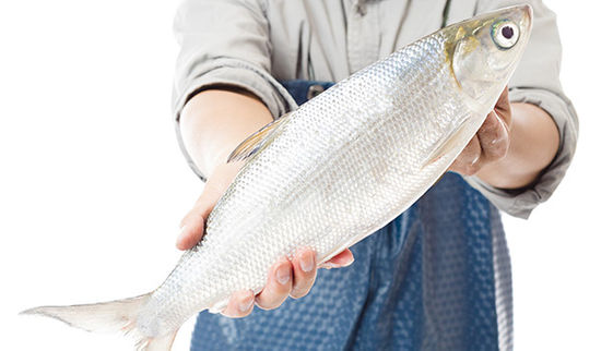 在台灣就該這樣吃魚 康健雜誌