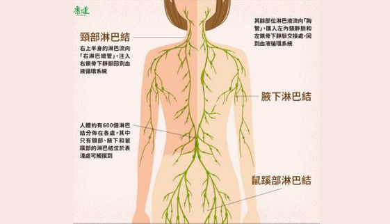 乳癌術後別怕 動手 運動 按摩防淋巴水腫 康健雜誌