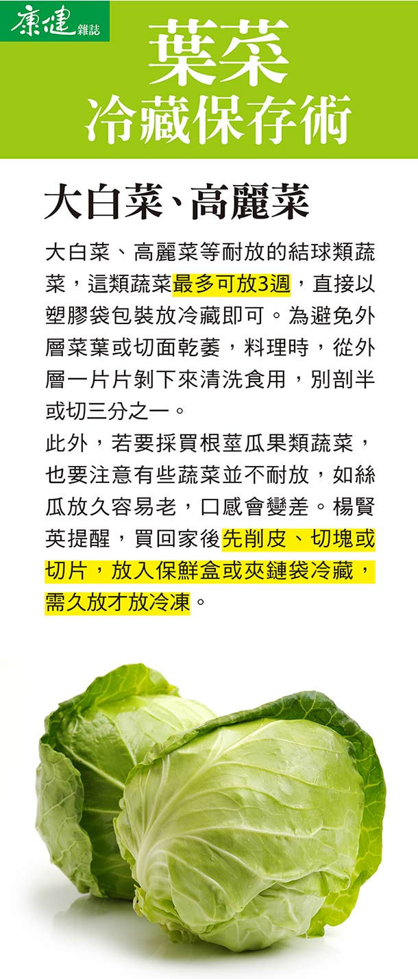 大白菜 高麗菜葉菜冷藏保存術 康健雜誌