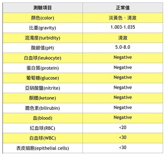 蘇鈺壬醫師 秒懂尿液檢查數據 先看四項數值是否異常 康健雜誌