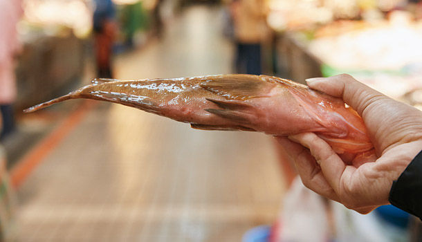 吃好魚／魚販沒說的識魚祕密- 康健雜誌