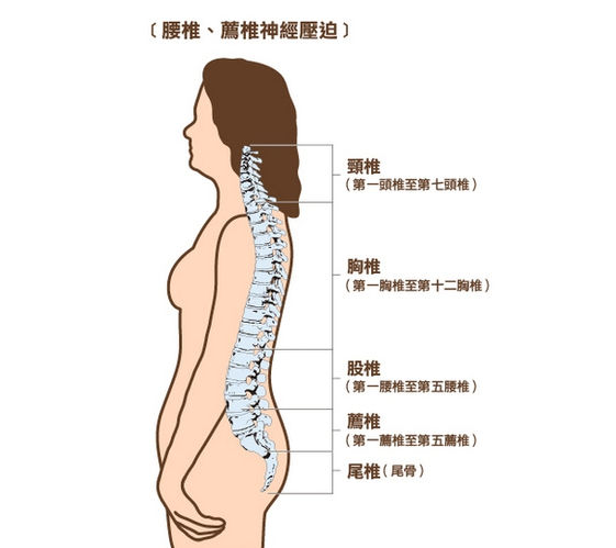 腳痛不一定是足底筋膜炎 蹠骨痛等5大足病要注意 康健雜誌