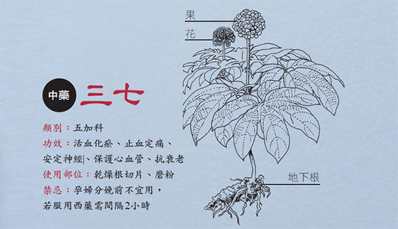 三七 川七分不清 功效大不同 康健雜誌