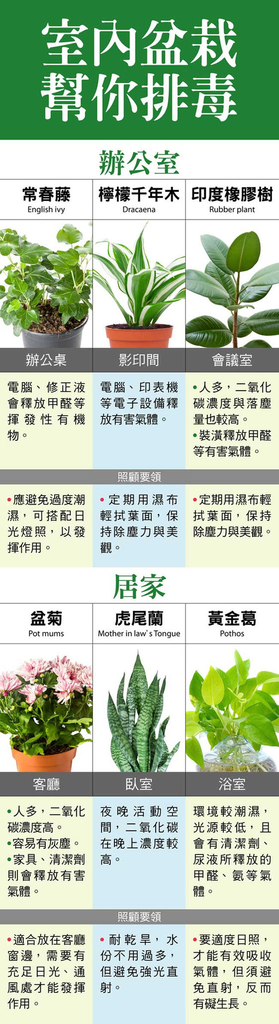 天然空氣清淨機 選對室內盆栽幫你排毒 康健雜誌