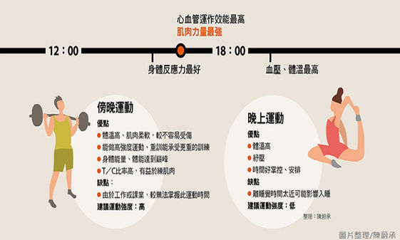 早上 晚上運動好 哪一個時間點最助瘦 樂活島